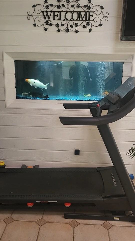 512 N Hampton Rd #450 - Photo 4 of 16