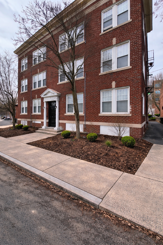 329 Beech Street - Photo 6 of 22