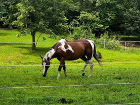 181 Benton St - Photo 1 of 1