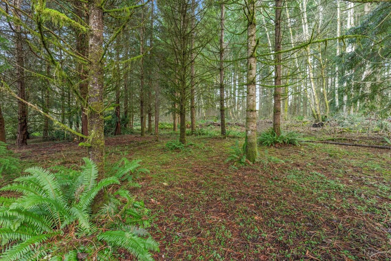 21912 Ne 68th St - Photo 3 of 20