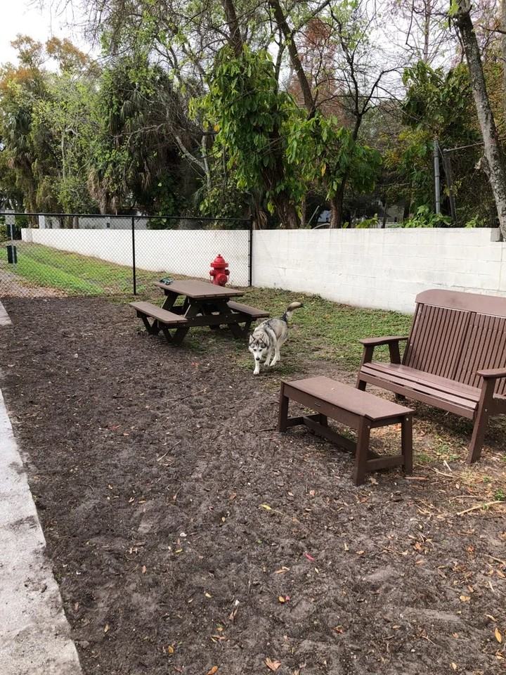 115 S Lois Ave #210 - Photo 2 of 12