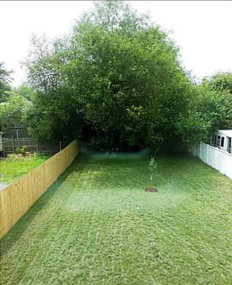 3406 Bainbridge Blvd - Photo 3 of 10