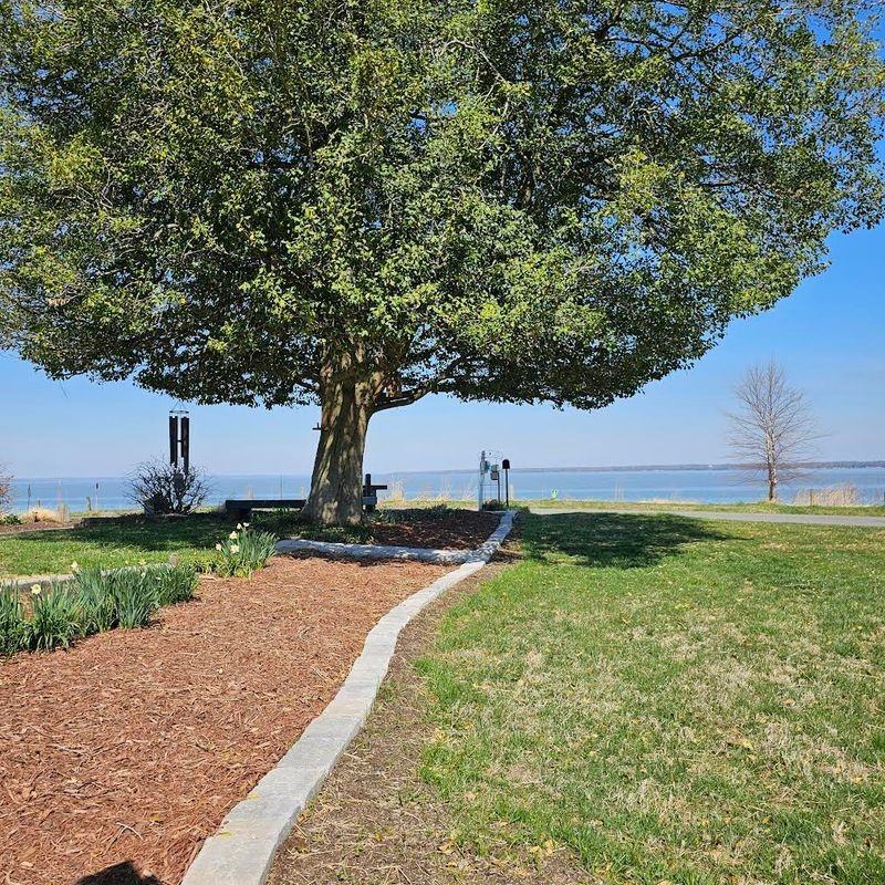 6111 Fairview Dr - Photo 3 of 29