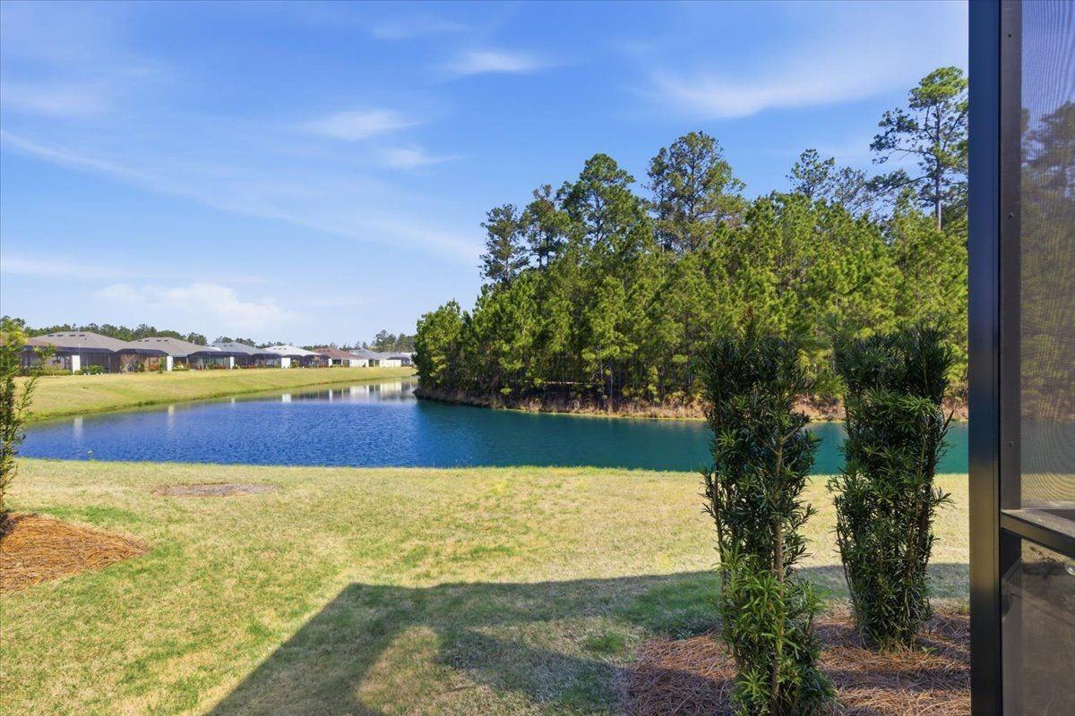 161 Sand Dollar Dr - Photo 2 of 13