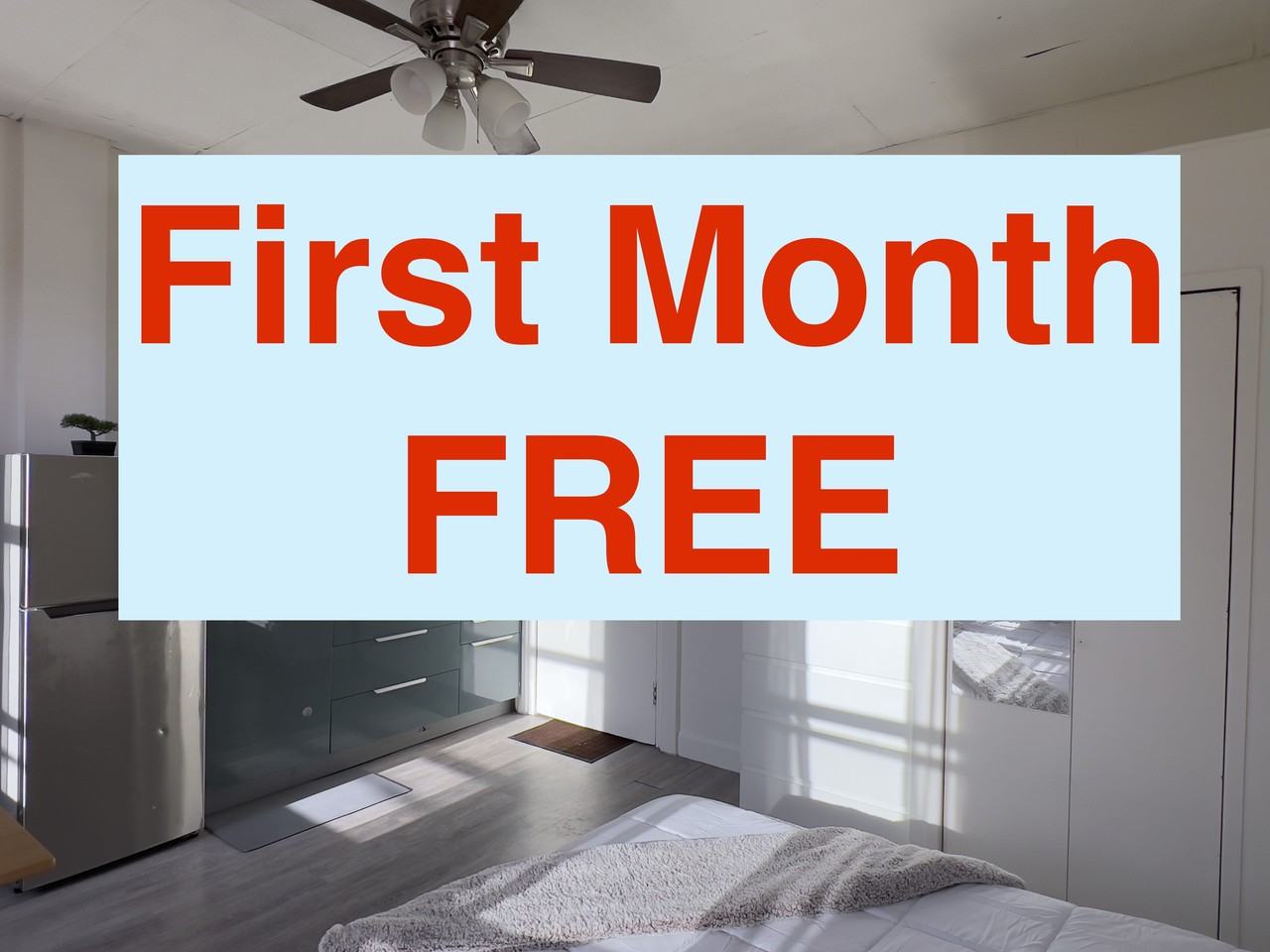 218 Queen Street East #5