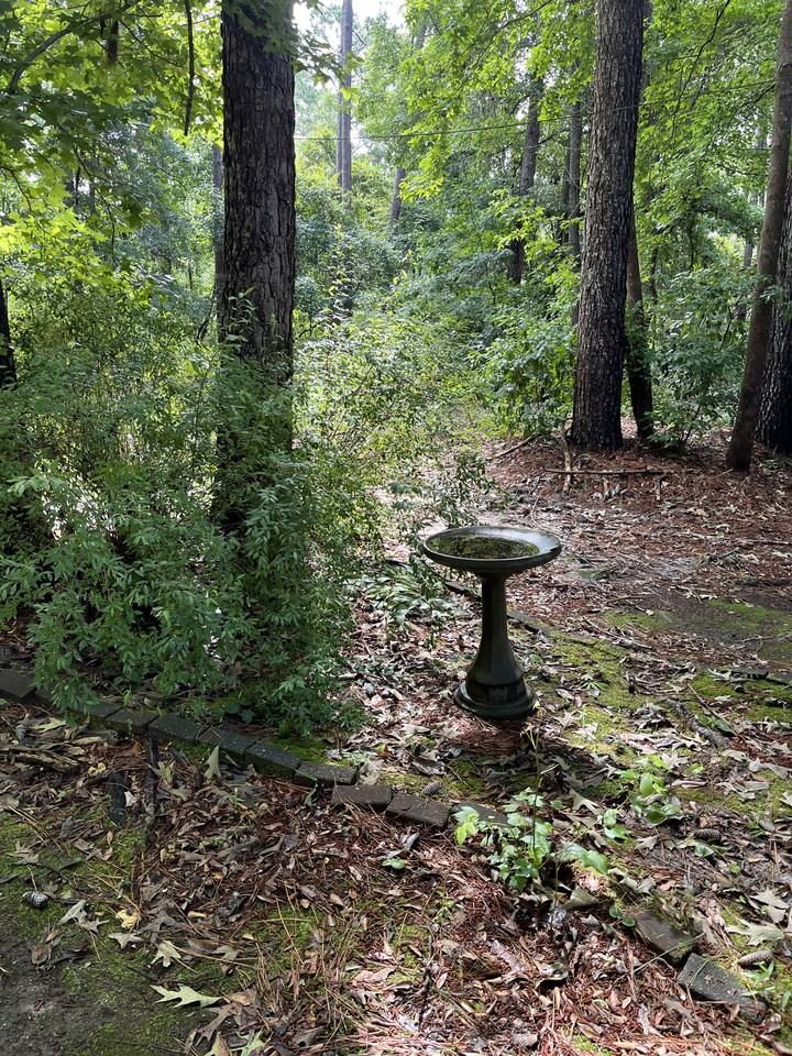 124 Winding Way #NA - Photo 5 of 41