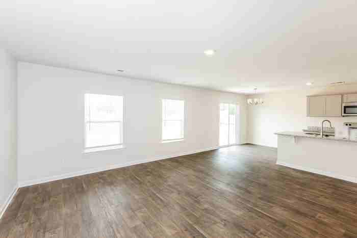 220 Bowery Breeze Way - Photo 3 of 12