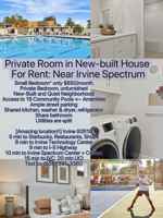 featured image of 269 Shoveler #E