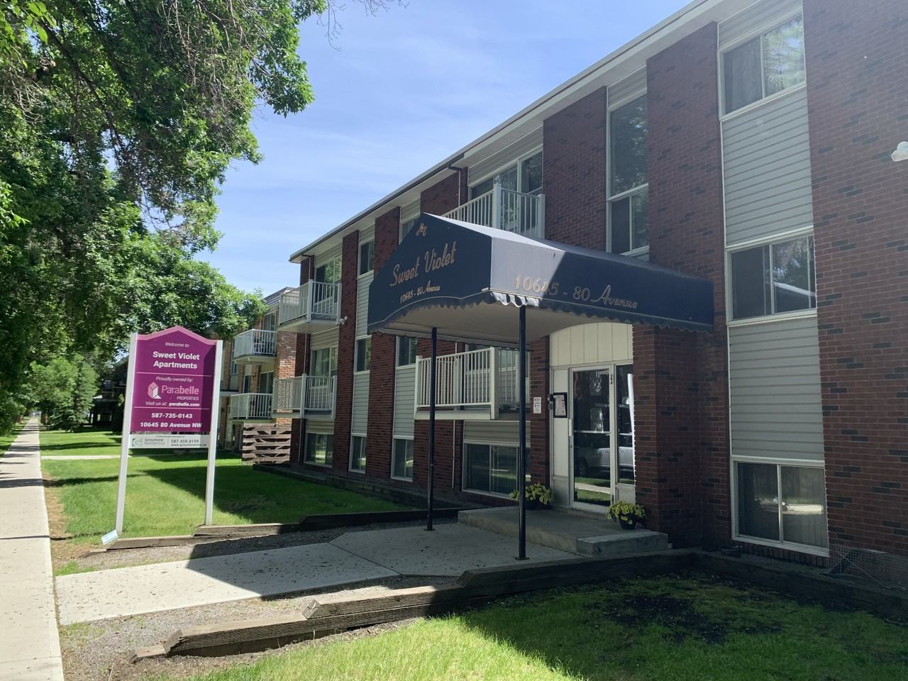 Sweet Violet - Photo 2 of 14