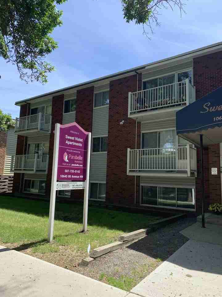 Sweet Violet - Photo 3 of 14