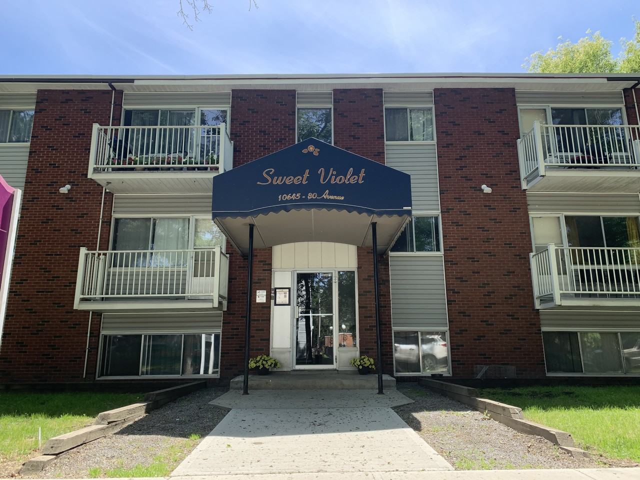 Sweet Violet - Photo 4 of 14