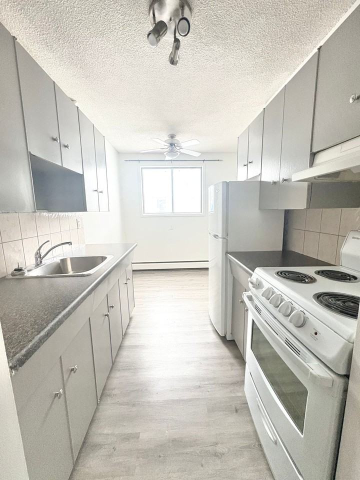 Sweet Violet - Photo 6 of 14