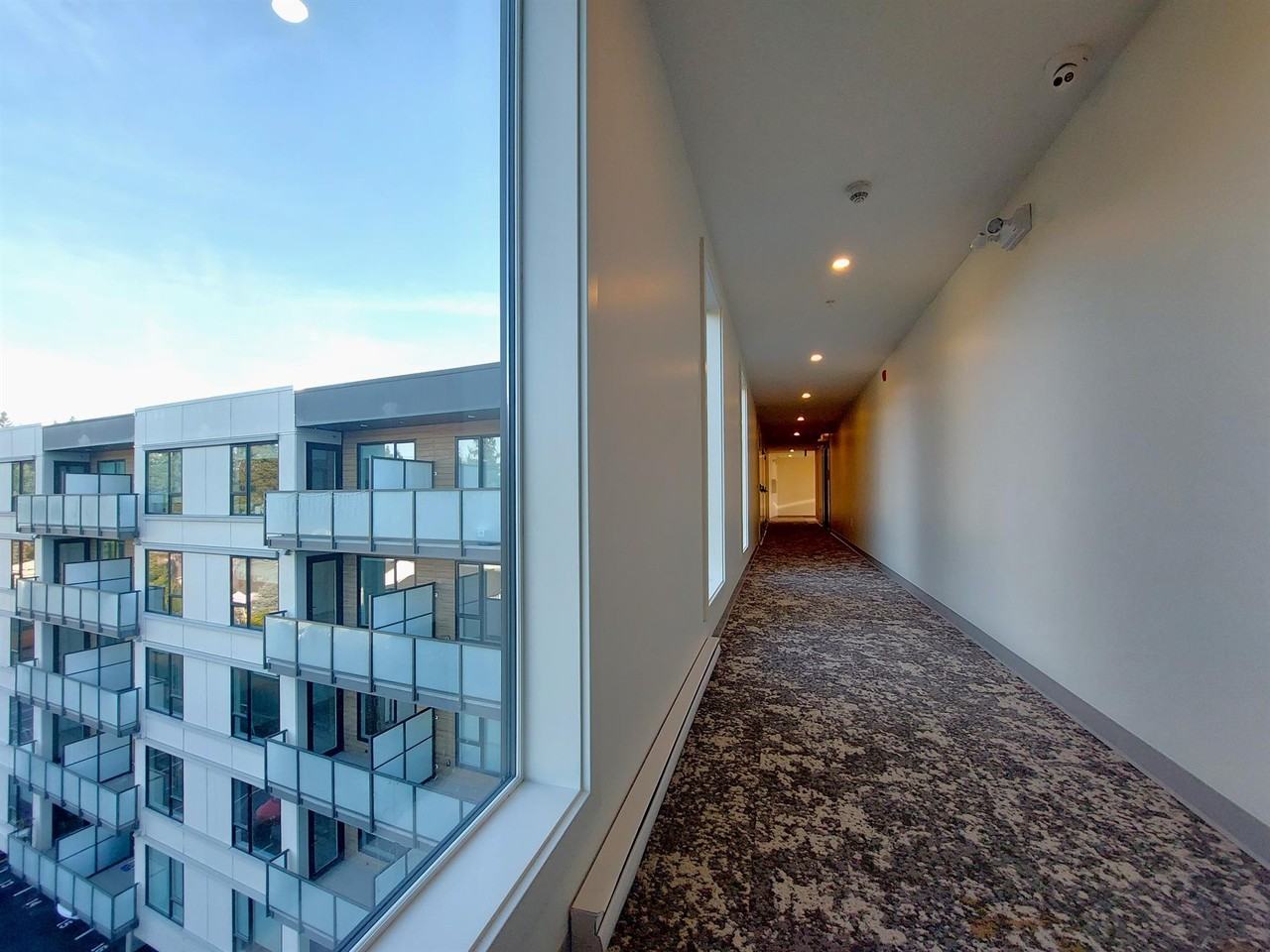 The Monarch - Photo 3 of 28