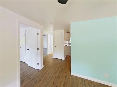 230 Daffodil 4plex - Photo 5 of 10