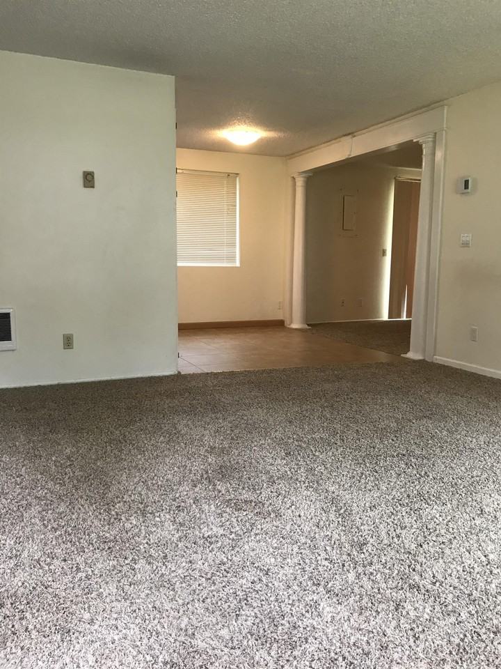 101 E 48th Ave #1 - Photo 2 of 10