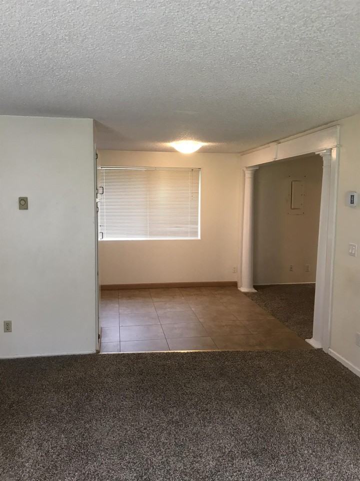 101 E 48th Ave #1 - Photo 5 of 10