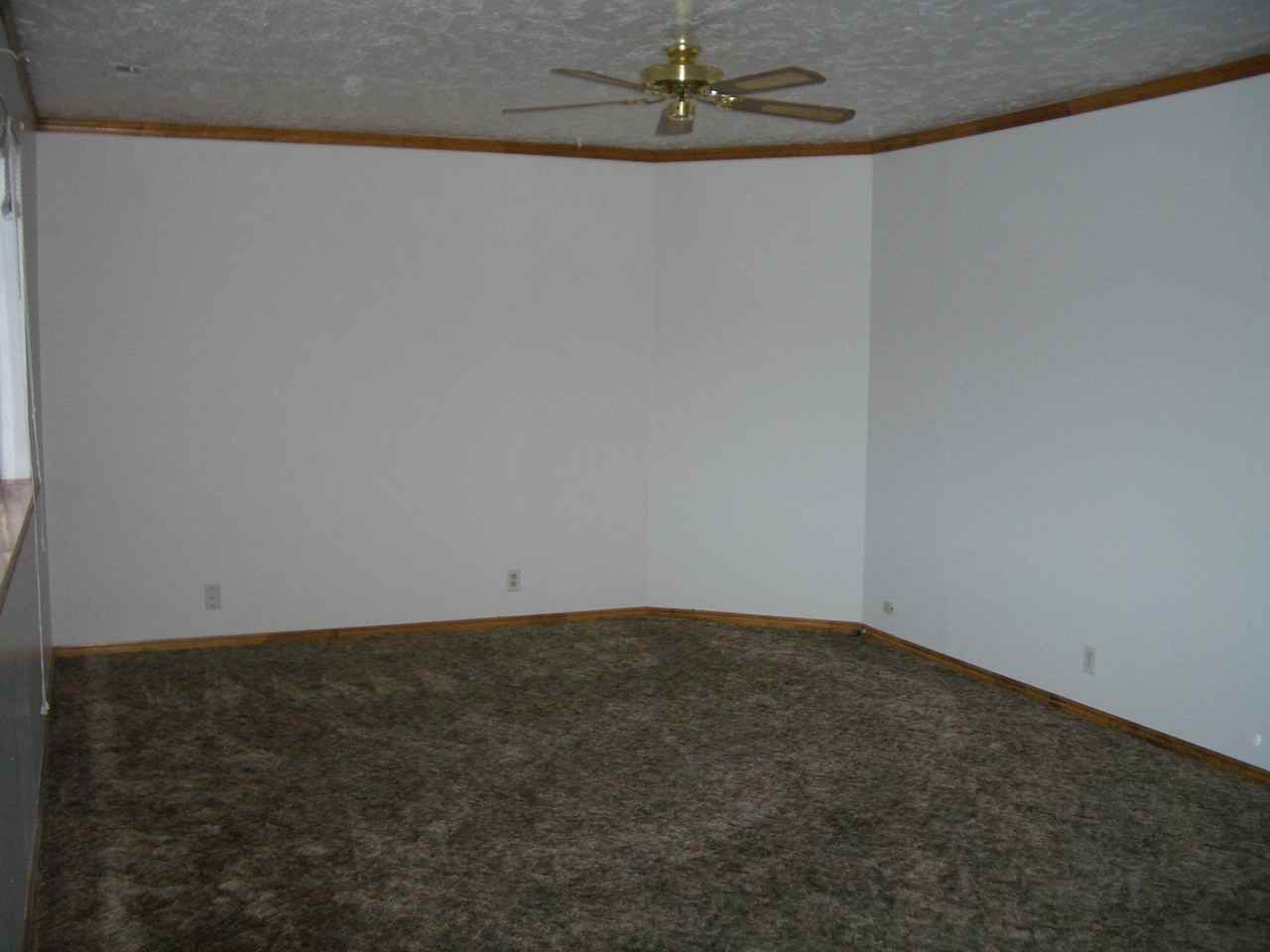 485-487 Delta-485 Delta #485DELTA - Photo 5 of 22