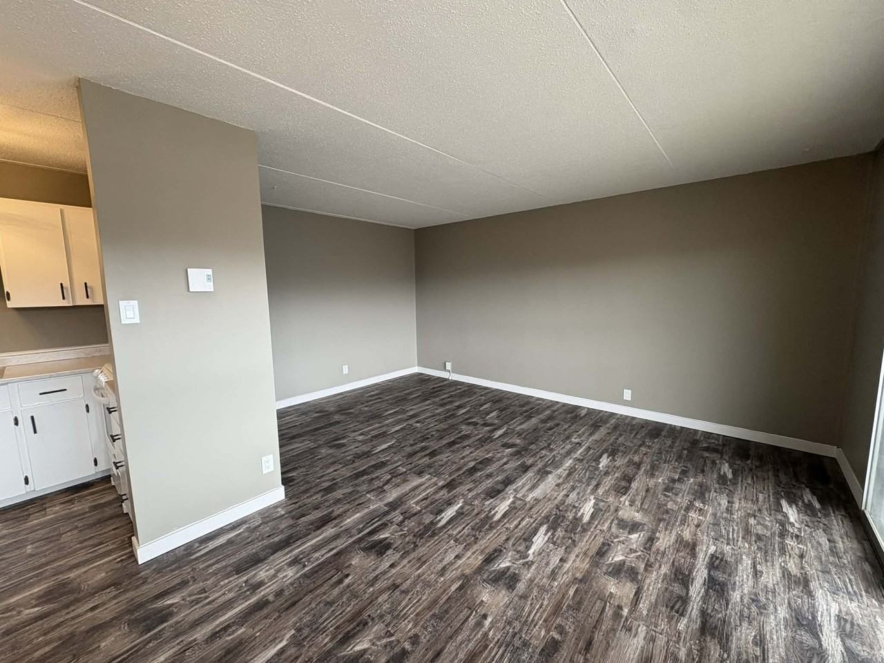 411 Ellerdale St #510 - Photo 2 of 19