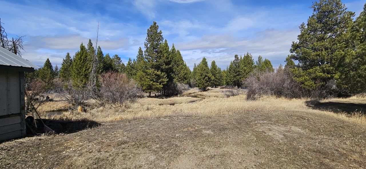 7 Bert Dr #1 - Photo 7 of 36