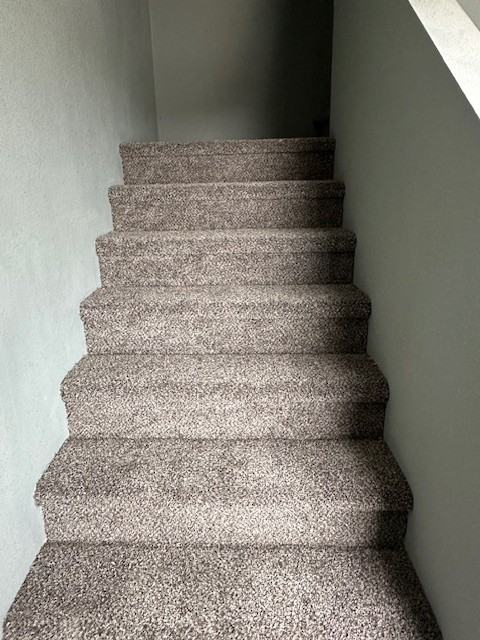 837 Niagara St #1 - Photo 3 of 6