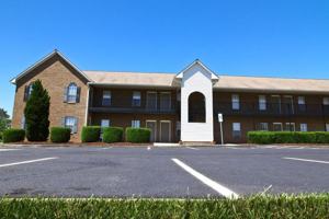 featured image of Moseley Dr