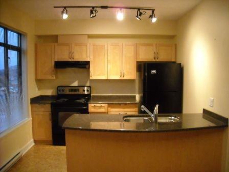 2300 237- 2300 Mansfield Mansfield #237 - Photo 2 of 9