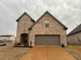 featured image of 10007 Messana Cv