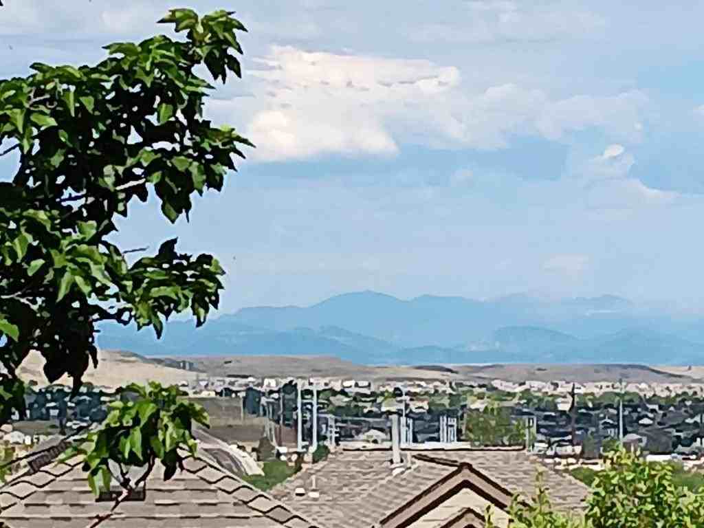 11565 Crow Hill Dr - Photo 5 of 19