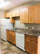 Twin Dolphins - Photo 1 of 1