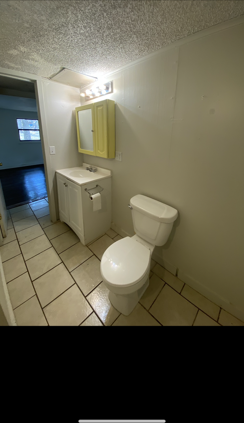 1714 Horton Lake Way - Photo 7 of 8