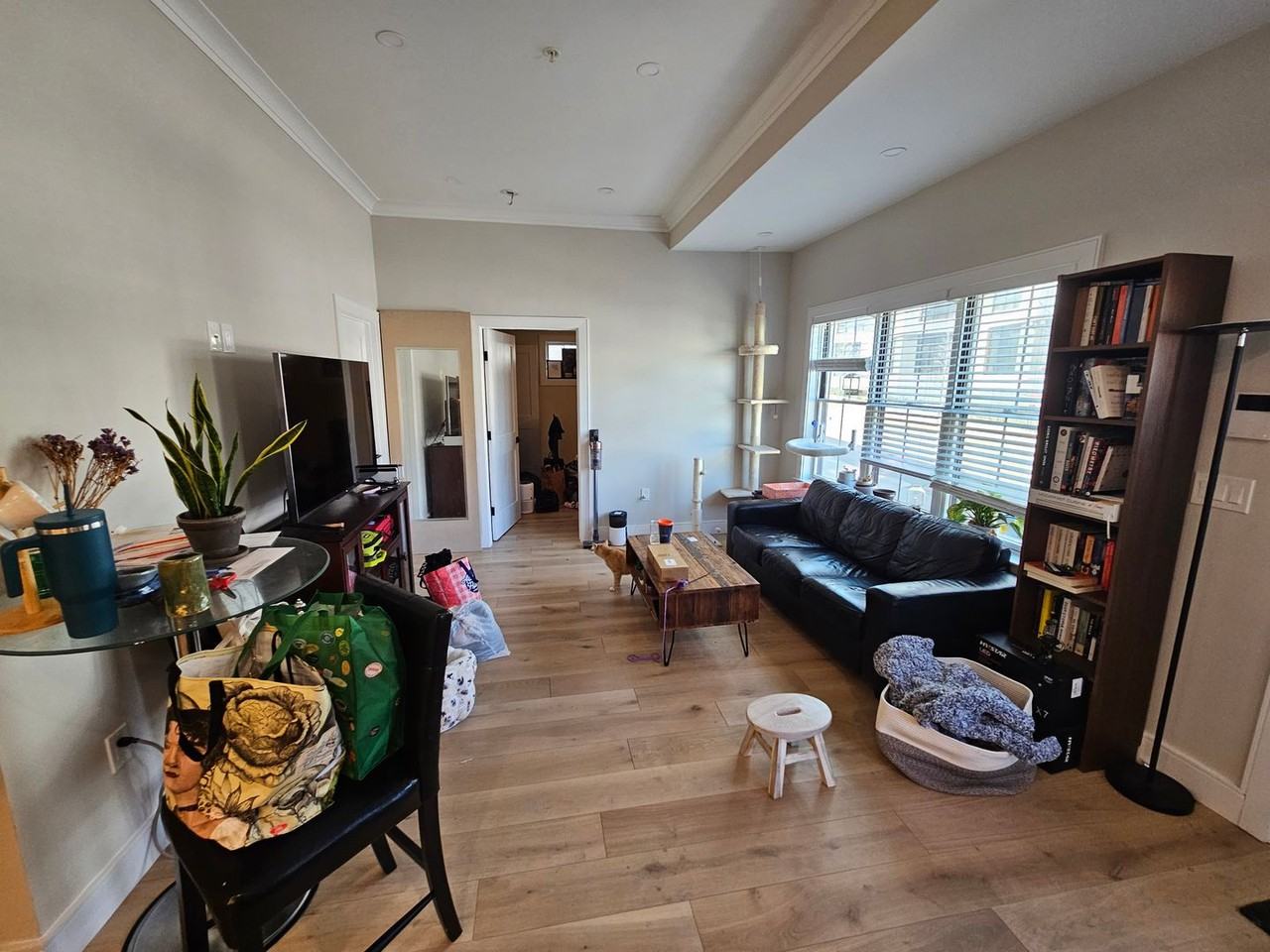 9B Everett St - Photo 5 of 9