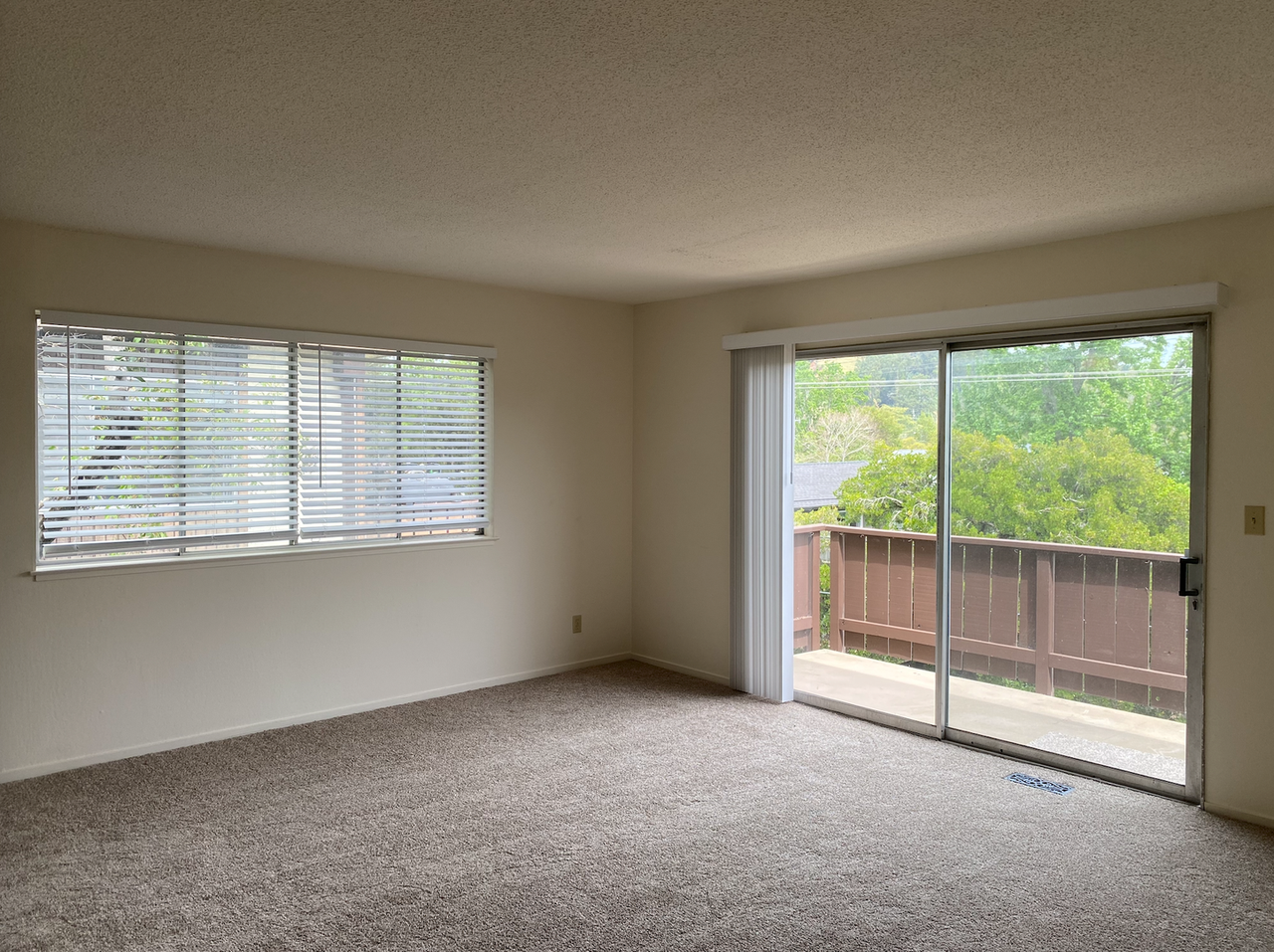 39 Cedar St #D - Photo 6 of 24