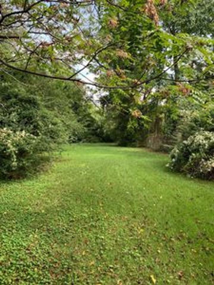 2715 5th Ave - Photo 3 of 21