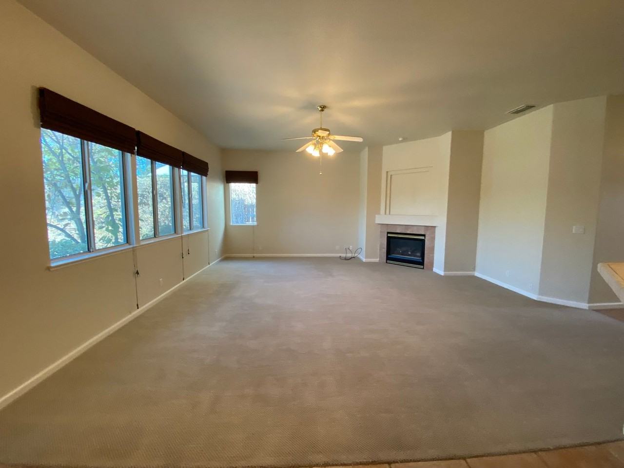 1005 Halidon Way - Photo 7 of 19