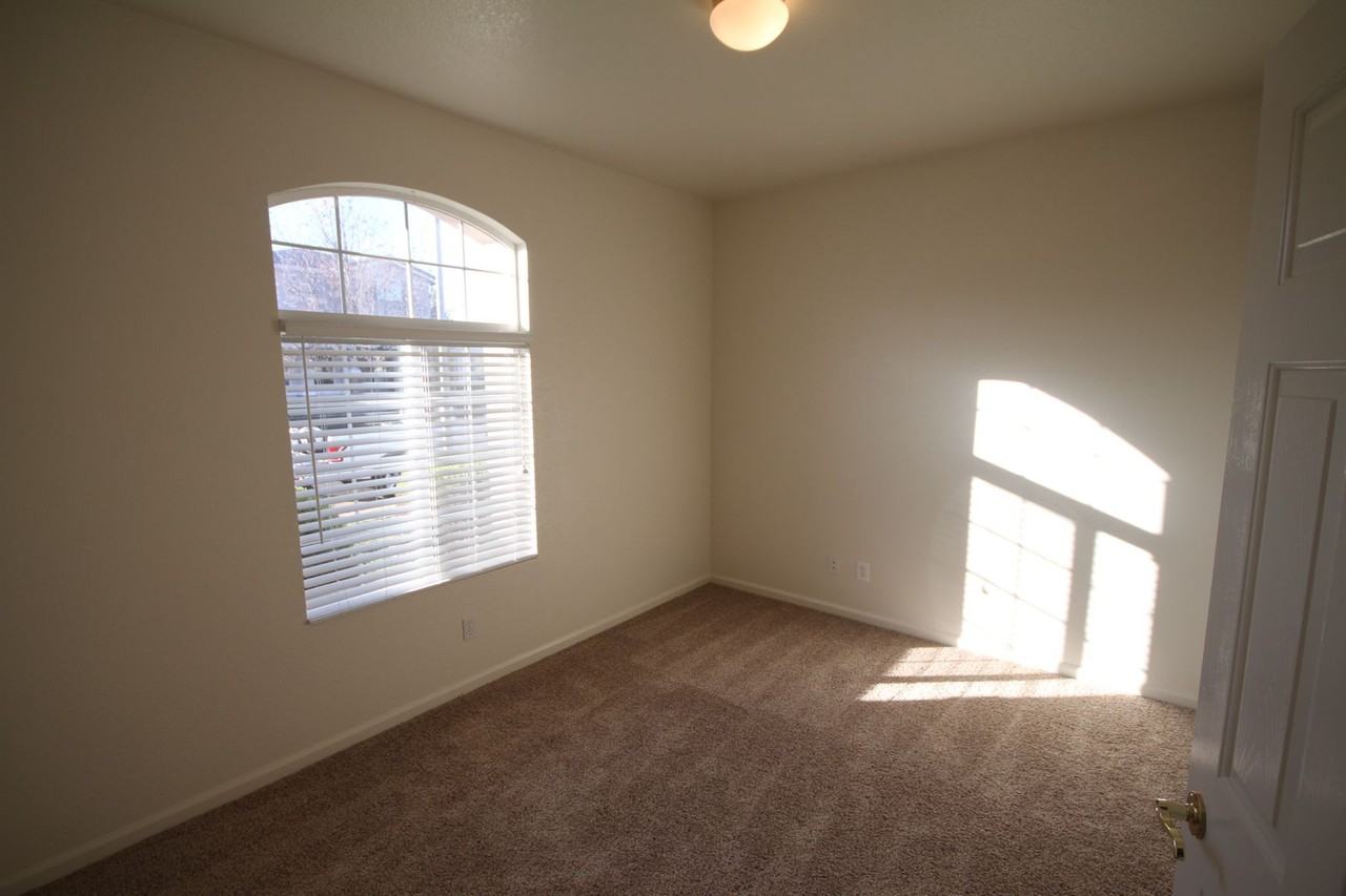 5511 Gold Poppy Way - Photo 4 of 15