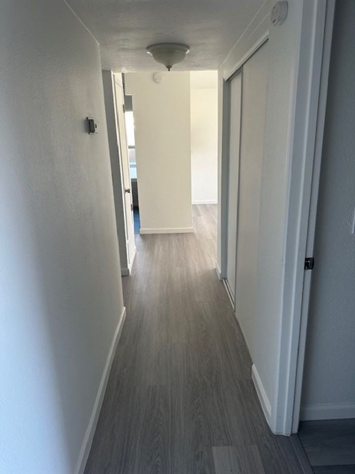 775 Benicia Dr - Photo 3 of 15
