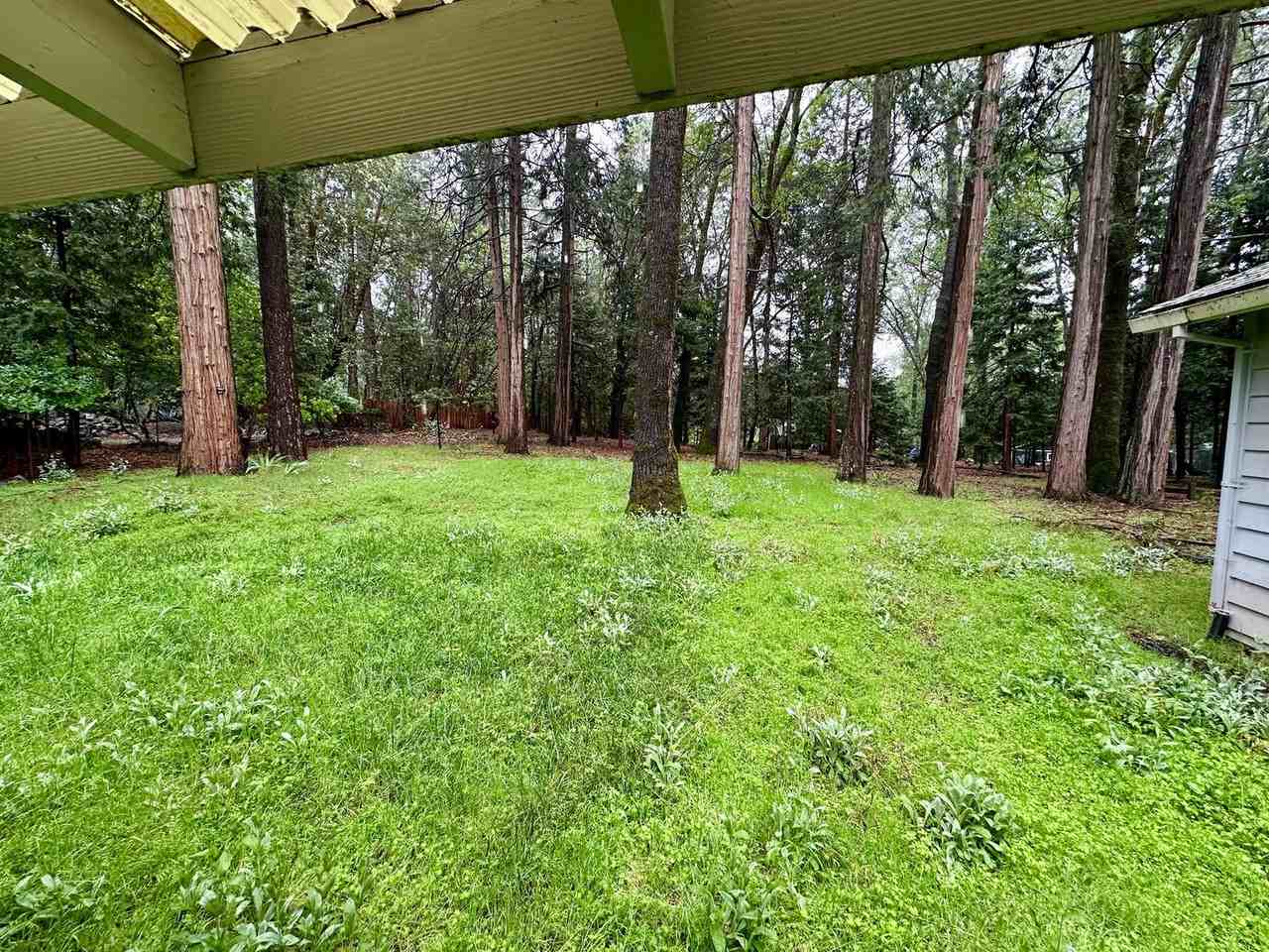 12725 Banner Lava Cap Rd - Photo 7 of 26