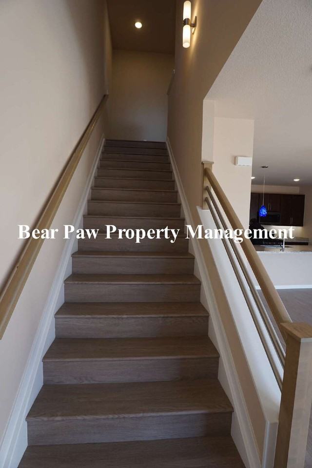 4005 S Teller St - Photo 4 of 16