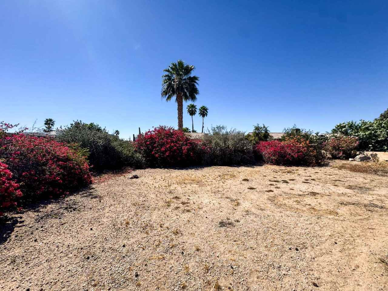 12211 E Paseo Verano - Photo 5 of 5