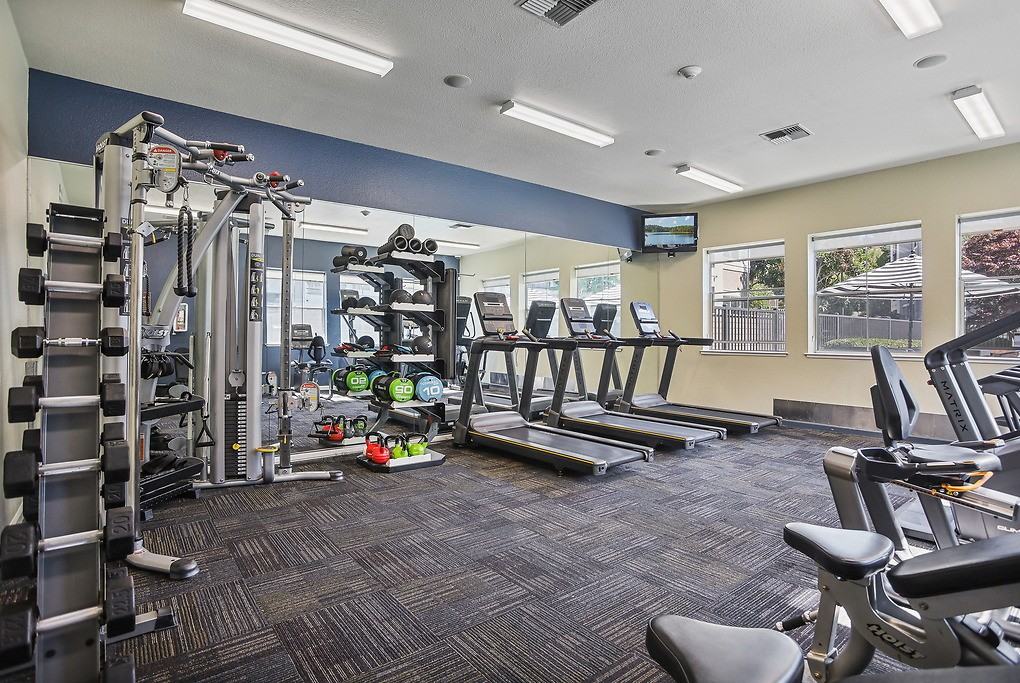 City Centre - Photo 4 of 39