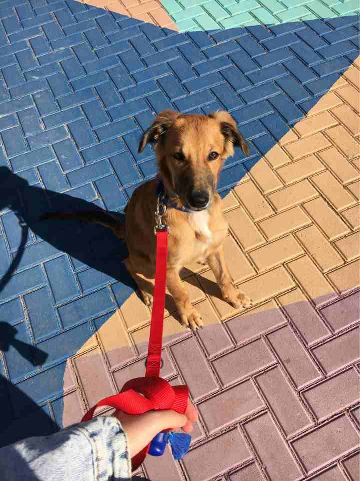 The Garrison - Photo 5 of 9