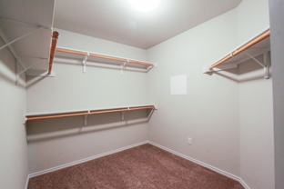 3651 Sandy Brook Dr #305 - Photo 1 of 1