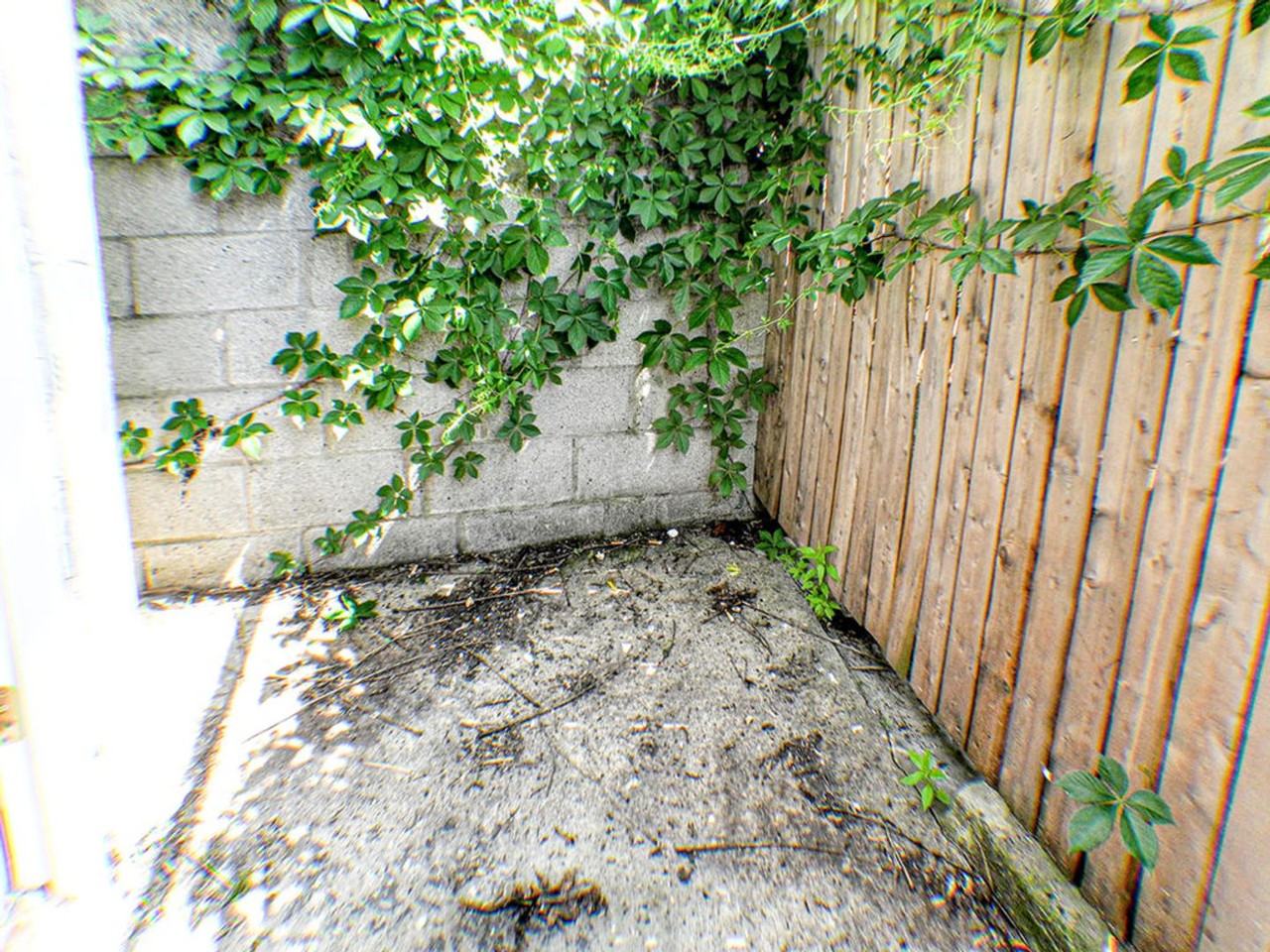 1535 S Hicks St - Photo 4 of 19