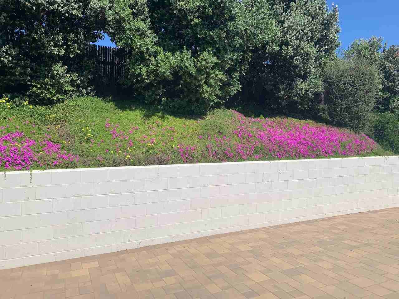 5190 Vista Bahia - Photo 5 of 35