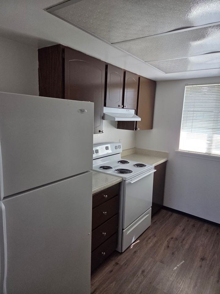 Mountaire - Photo 3 of 9