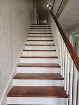 3308 Prytania St - Photo 1 of 1