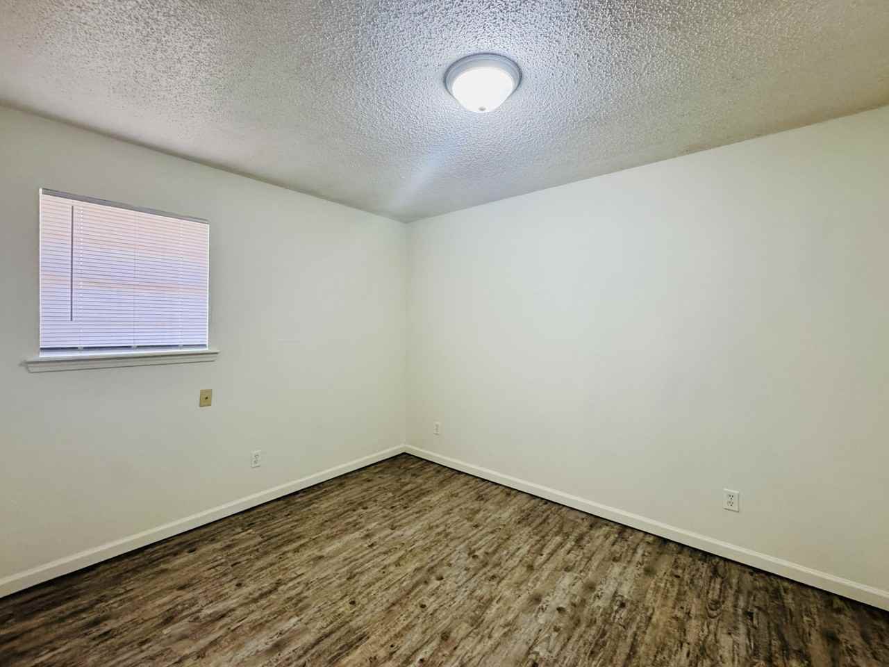 154 Shady Ln #1 - Photo 5 of 7