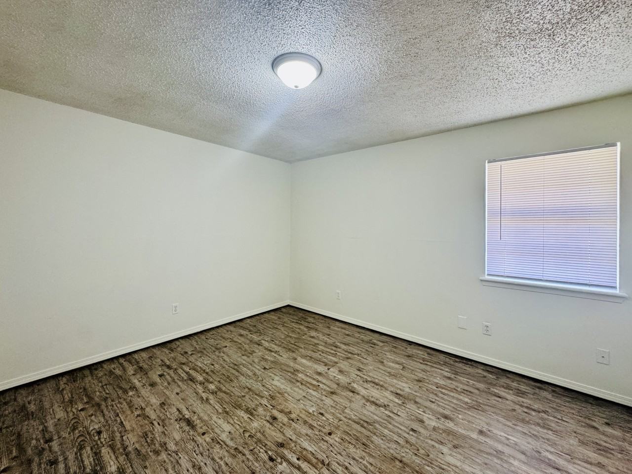 154 Shady Ln #1 - Photo 6 of 7