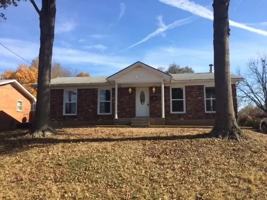 featured image of 8313 Twisted Pine Rd