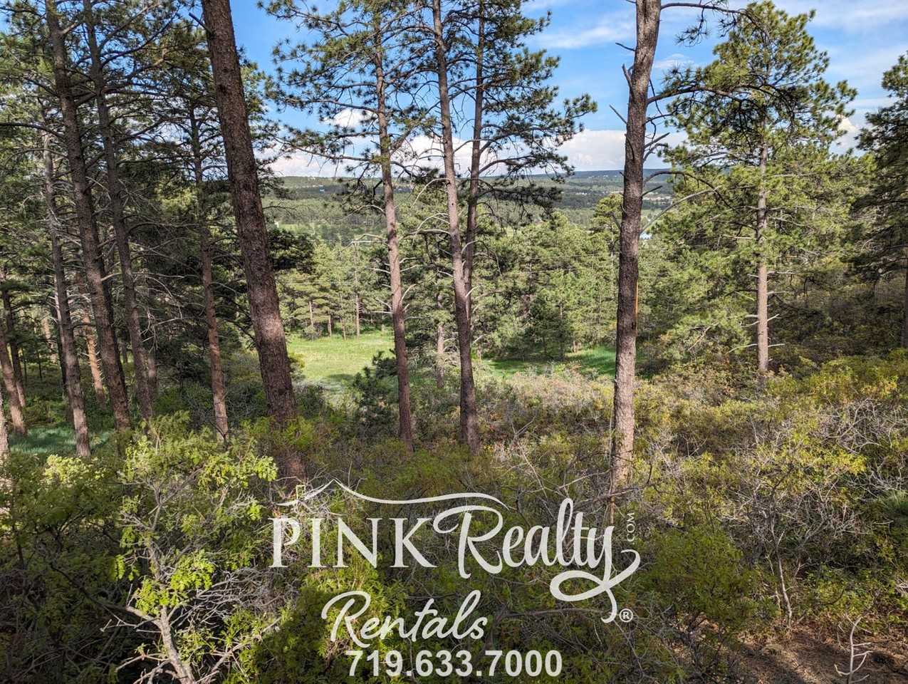 19935 Hamal Dr - Photo 3 of 38